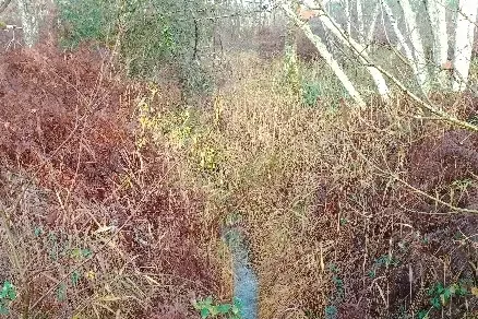 Le drainage des eaux de nappe