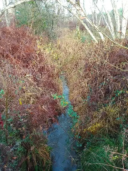 Le drainage des eaux de nappe