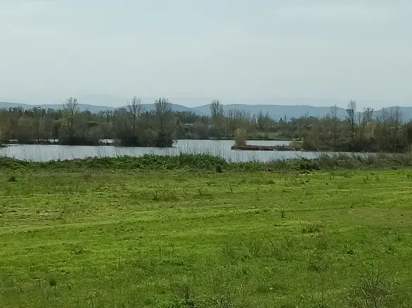 Expertise de carrières