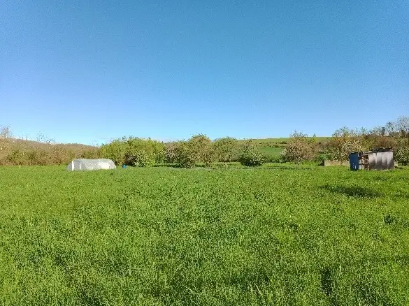 Recherche d’eau agricole