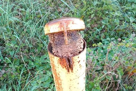 Les insectes et l'hydrogéologie