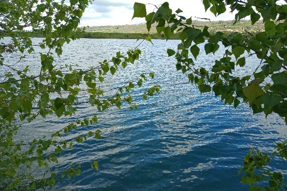 Modélisation hydrogéologique