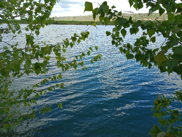 Modélisation hydrogéologique